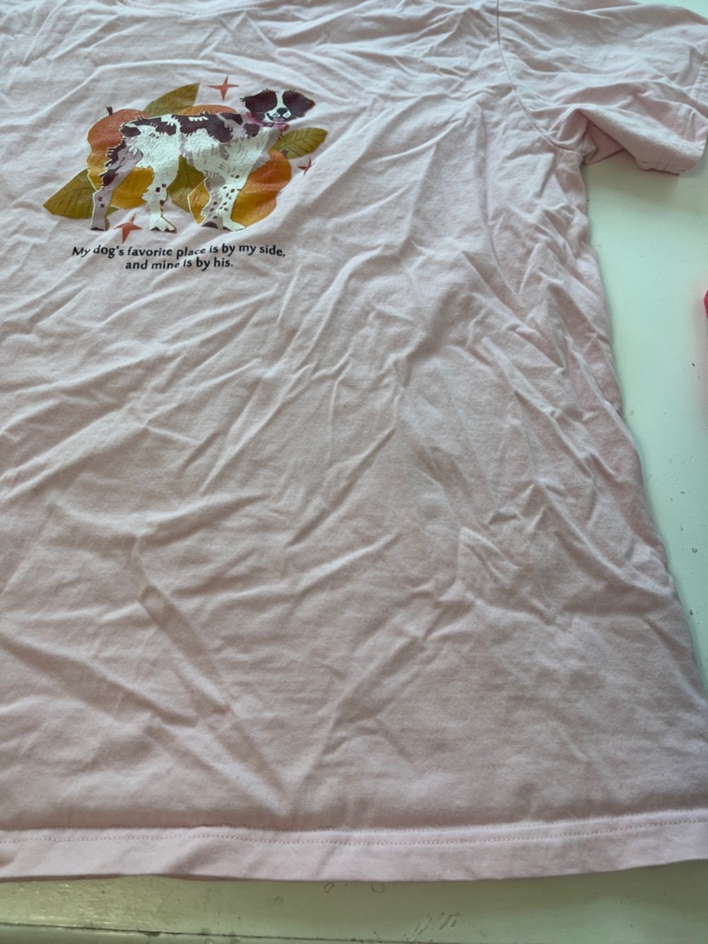 Amazon Medium Pink My Dogs Favorite Place Is By My Side Graphic Short Sleeve T - Picture 3 of 5